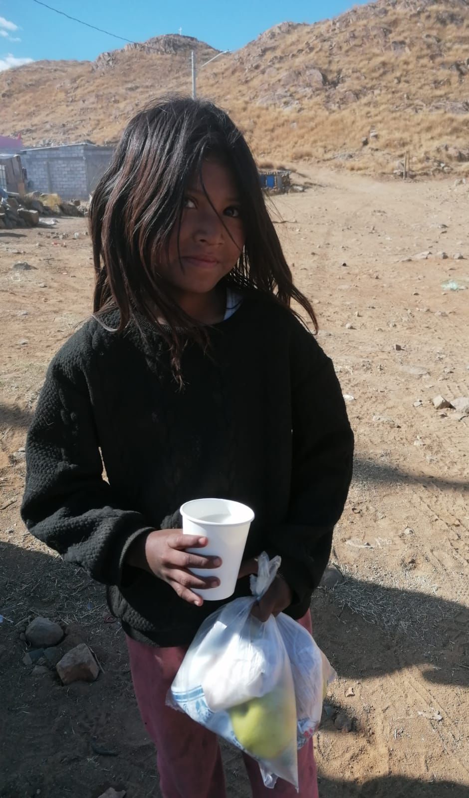 Fundación para el Desarrollo de la Excelencia Humana A.C.